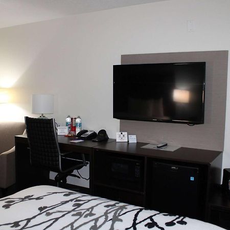 فندق Wingate By Wyndham Kings Bay Naval Base I-95 كينغسلاند المظهر الخارجي الصورة